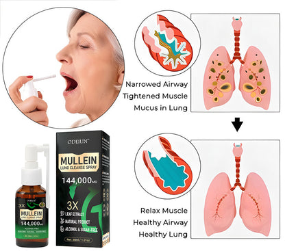 🌿 ODEIUN® 3X Concentrated Mullein Lung Cleanse Spray — Advanced Respiratory Detox & Clear Breathing