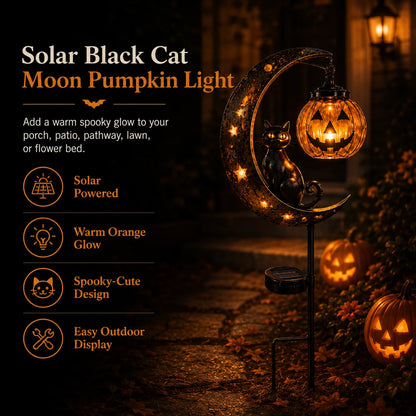 Get Ready for Spooky Season 🎃 Solar Black Cat Moon Pumpkin Outdoor stake Light